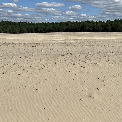 Bledowska Desert
