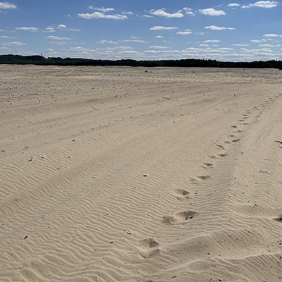 Bledowska Desert