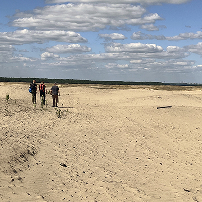 Bledowska Desert